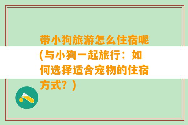 带小狗旅游怎么住宿呢(与小狗一起旅行：如何选择适合宠物的住宿方式？)