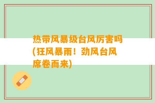 热带风暴级台风厉害吗(狂风暴雨！劲风台风席卷而来)