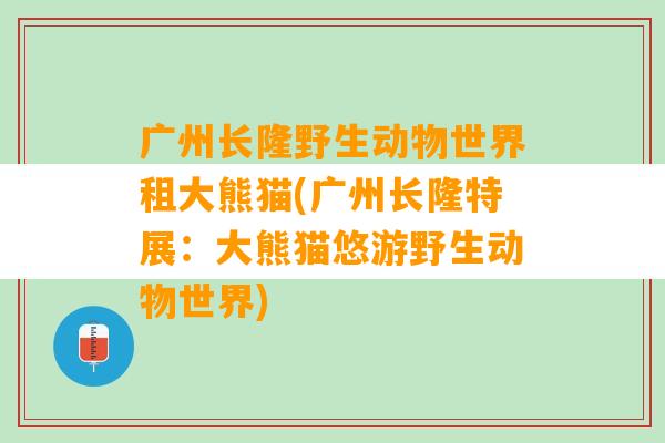 广州长隆野生动物世界租大熊猫(广州长隆特展：大熊猫悠游野生动物世界)