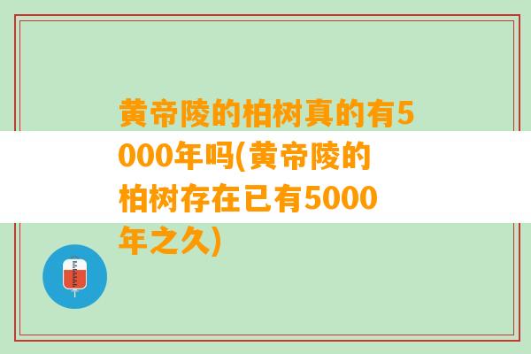 黄帝陵的柏树真的有5000年吗(黄帝陵的柏树存在已有5000年之久)