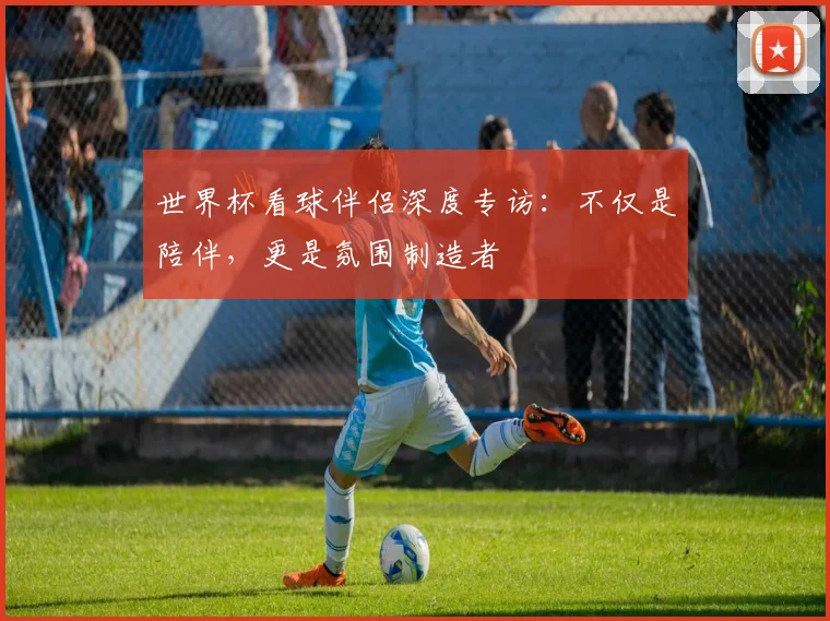 世界杯看球伴侣深度专访：不仅是陪伴，更是氛围制造者