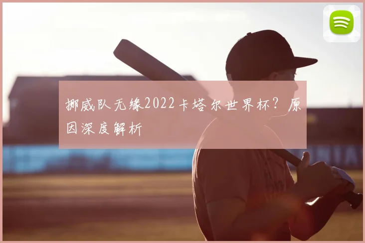 挪威队无缘2022卡塔尔世界杯？原因深度解析