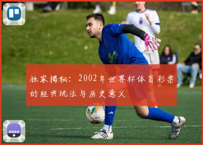 独家揭秘：2002年世界杯体育彩票的经典玩法与历史意义