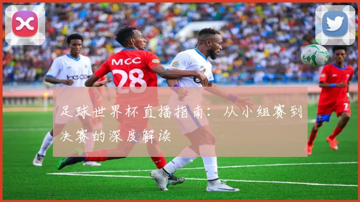 足球世界杯直播指南：从小组赛到决赛的深度解读